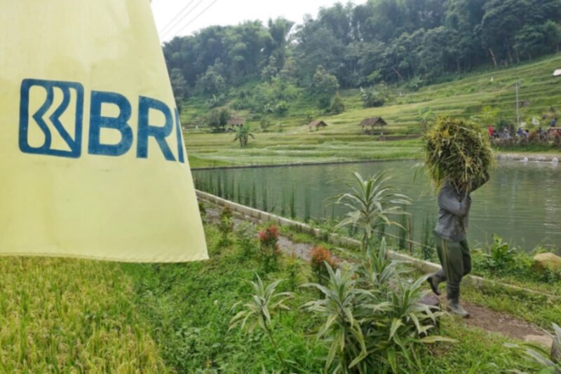 Dok. BRI
