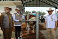 Wakil Menteri Pertanian (Wamentan), Sudaryono mengajak para stakeholder sapi untuk ikut mensukseskan program Makan Bergizi Gratis. (Dok. Kementan)