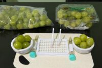 Bapanas Lakukan Rapid Test Anggur Muscat. (Dok. Bapanas)