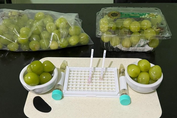 Bapanas Lakukan Rapid Test Anggur Muscat. (Dok. Bapanas)