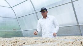 Wakil Menteri Pertanian (Wamentan), Sudaryono saat mengunjungi Agro Techno Park di Kabupaten Badung, Bali. (Dok. Kemen̈tan)