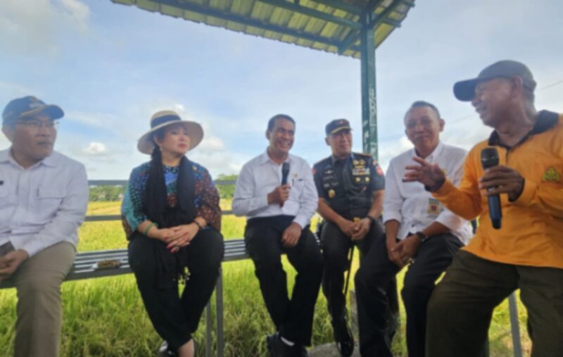 Ketua Komisi IV DPR RI Titiek Soeharto bersama Menteri Pertanian Andi Amran Sulaiman saat meninjau jalanya panen raya di Kabupaten Bantul, Rabu, 15 Januari 2025. (Dok. Kementerian Pertanian)