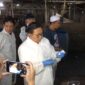 Direktur Jenderal Peternakan dan Kesehatan Hewan (PKH) Kementan Agung Suganda. (Dok. Kementan)