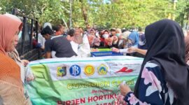Champion cabai Kabupaten Lombok Timur. (Dok. Kementan)