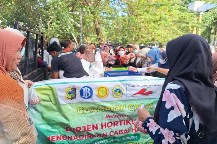 Champion cabai Kabupaten Lombok Timur. (Dok. Kementan)