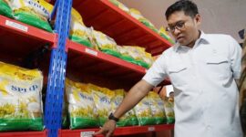 Wakil Menteri Pertanian (Wamentan), Sudaryono.  (Dok kementan)