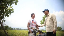 Wakil Menteri Pertanian (Wamentan), Sudaryono. (Dok. Kementan)