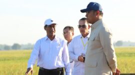 Menteri Pertanian (Mentan) Andi Amran Sulaiman dan Wakil Menteri Pertanian (Wamentan) Sudaryono. (Dok. Kementan)